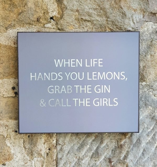 grab the girls gin plaque